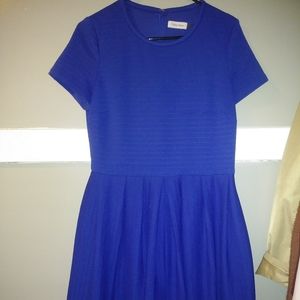 Calvin Klein Blue Knit Dress